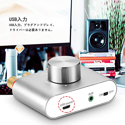 Nobsound NS-01G Pro Leistungsverstärker, Bluetooth 5.0, 100W, Verstärker, Lautsprecher, HiFi Audio, mit Netzteil (Silber)