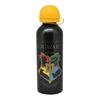Aluminiowy Bidon Butelka Dla Dzieci Harry Potter Kids Euroswan 500ml