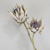 C428  2 Head Dry king Flower Living Room Plant Interior Table Decoration Faux Simulation Flower Batch Thanksgiving Ornament Art