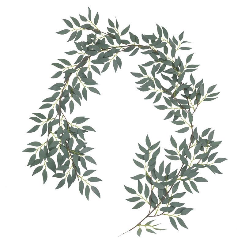 

Foliage Leaf Eucalyptus For Wedding Backgrounds Outdoor Decoration Photography