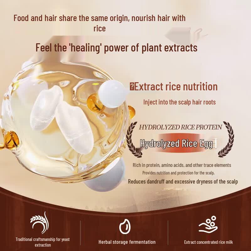 Light Fragrance Amino Acid Rice Ferment Scalp Care Shampoo