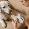 Dog Nail Filer EVA Safe Claw Care Puppy Nail File Scratch Board For Kitten Puppy Medium Large Pet Cat Indoor Home Apartment