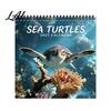 School Year Planning Tool 2027 Wall Calendar Funny Cartoon Illustrations Large Date Grids Annual Schedule Planner Thick Coated Paper Sturdy