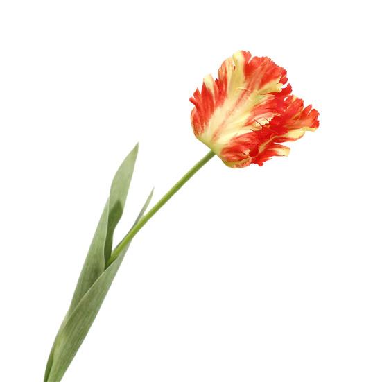 Simulovaný tulipánový květ Umělý tulipán s dlouhým stonkem Opakovaně použitelný Nenáročný Umělý tulipán pro květinové aranžmá Domácí Kancelář Svatba Dekorace