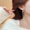 Women's High-End Tassel Dangle Earrings - Light Luxury Silver Needle, 2025 New Collection