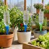 Irrigation, Adjustable Self-Watering for Indoor and Outdoor Potted Plants