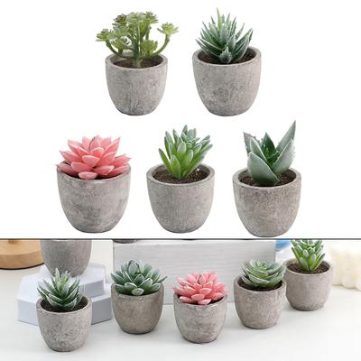 Plantas Suculentas Variadas de Simulación en Maceta Decoración para el Hogar y Jardín Plantas