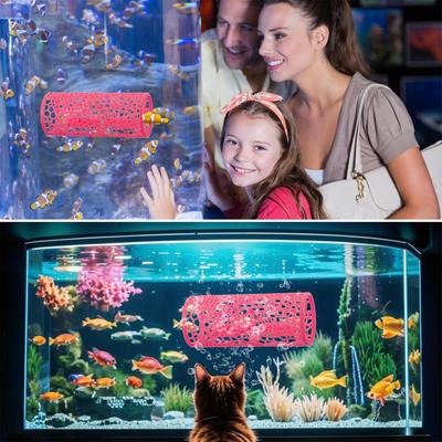 Fische & Meerestiere – Aquarien-Einrichtung