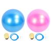Extra Thick Exercise Ball PVC Anti Burst Inflatable Gym Ball with Pump for Pilates Balance Stability