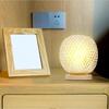 Wicker Table Lamps Ornament Bamboo Woven Table Lamp Attachments for Living Room Photography Bedroom Home EU Plug EU/US/UK Plug