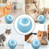 Pet Toy Dog Cat Interactive Ball Catnip Dog Chew Toy Cat Dog Interactive Toys Resistant Grinding Non Destructive Bite Proof