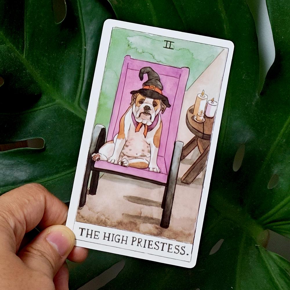 12*7cm Dog Tarot Deck In Rigid Box, 78 Pcs Cards Inspired By Wise Companion Printed On 350GSM Double-embossed Cardstock