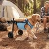 Adjustable Pet Wheelchair Cart Comfortable Rehabilitation Walking Assistant  Outdoor Use