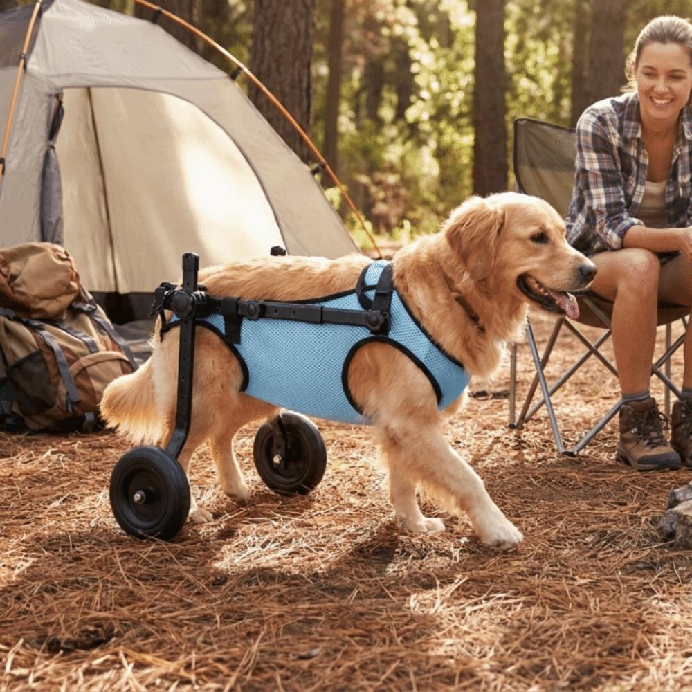 Adjustable Pet Wheelchair Cart Comfortable Rehabilitation Walking Assistant Outdoor Use