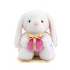 Graceful White Lop Ears Rabbit Plush Toy Holding Red Rose Say Love Cartoon Animal Plushie Sweet Girlfriend Gift