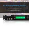SAST LX-800 Professional Digital KTV Audio Processor CN Plug (adapter Included)