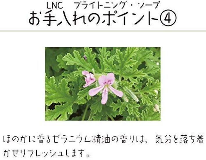 LNC Soap Regular 100g (x 1)
