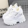 Fashion Retro Genuine Leather Ladies Designer Sneakers Outdoor Casual Thick Bottom Women Vulcanized Shoes 12CM Winter Popular