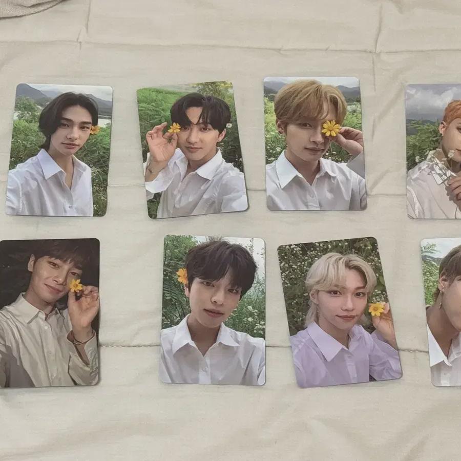 

Stray Kids Limited Edition Foca Set