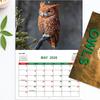 Owl Themed Perpetual Calendar – Reusable Wooden Flip Calendar Desk Ornament