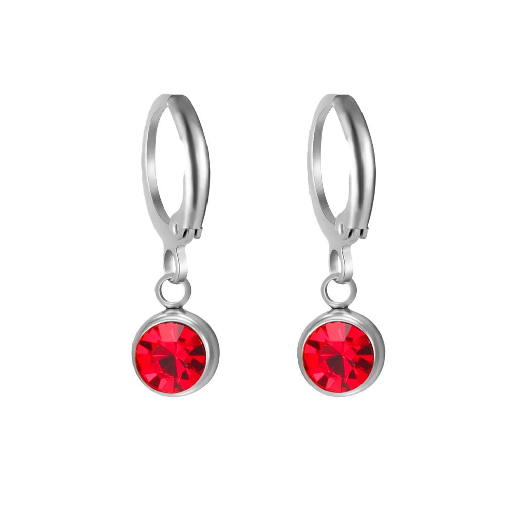 Birthstone Earrings Hoop Earrings Girl Women Stainless Steel Jewelry Family Friend Birthday Valentine's Day Gifts 2025 Trend