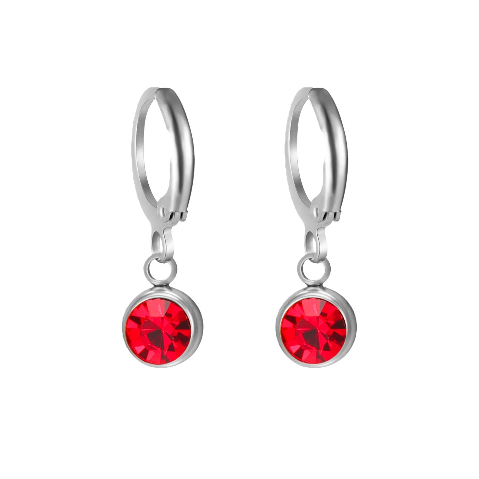 

12 Month Birthstone Earrings Stainless Steel Gold Color Crystal Drop Earring for Women Girls Jewelry Trend 2026 Birthday Gifts