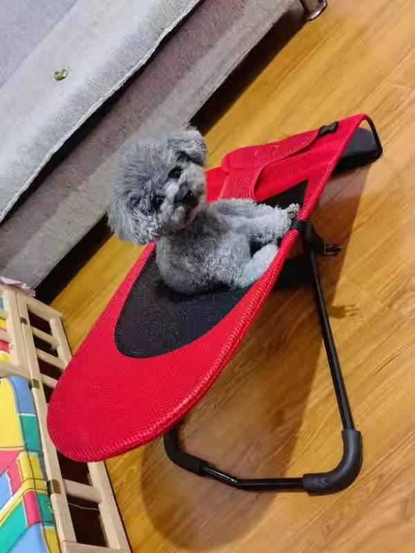 Faltbarer Schaukelstuhl Haustierbett für Hunde & Katzen - Verstellbar, Trendiger TikTok Artikel