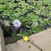High Sensitivity Automatic Fishing Float Fast Bobber Strong Sealing    Outdoor Fishing Accessories
