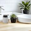 Badkamer en toilet – Zeeppompen