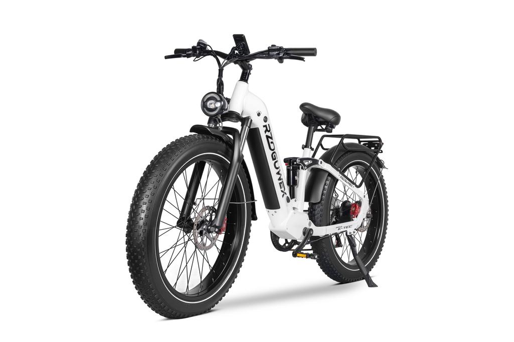 RZOGUWEX S9 ST: 1000W High Torque Electric Bike with 90km Range, Foldable, 35kg, Suitable for City Commuting