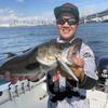 Megabass Minnow X-80SW S 4 GG Iwashi Lure, GG Iwashi 80.5mm