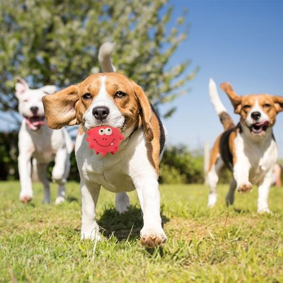 Giocattoli da masticare per cani indistruttibili, grandi cani, palla di spine che squittisce, giocattolo in lattice per animali domestici con suono incorporato, cura dentale, cartone animato divertente da masticare