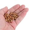 200pcs Polished Finish Wooden Beads Round Craft Beads Beads Peach Wood Beads  DIY Crafts