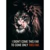 DIY 5D Diamond Painting Ruthless Lion Diamond Mosaic Cross Stitch Kits Home Decoration Full Round Diamond Embroidery
