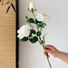 Fiore di Rosa Simulato a 3 Teste, Fiore Secco, Fiore Artificiale, Bouquet, Decorazione per Soggiorno, Oggetti di Scena per Foto