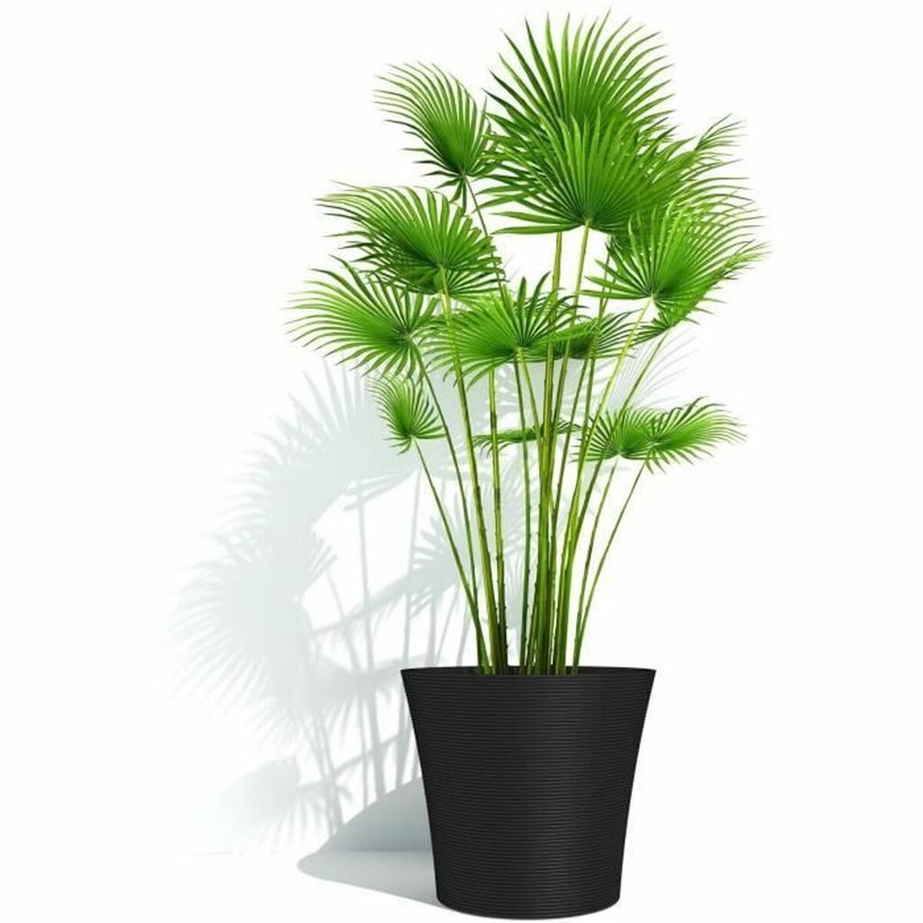Plant Pot Garden ID Black 40 X 34 Cm