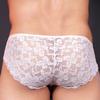 Sexy Mens Lingerie Sheer Mesh Lace Panties Briefs Low Waist Underwear U Pouch Underpants Breathable Solid Color