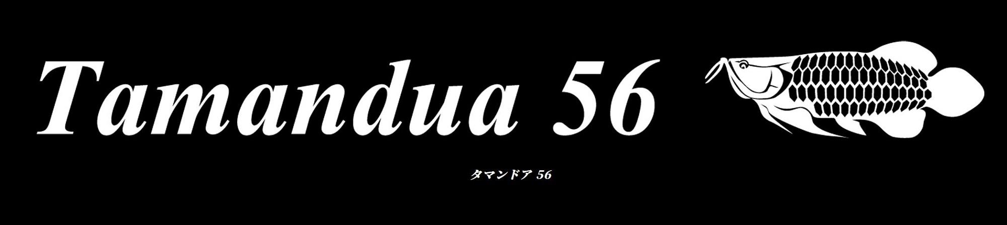 

Тулала х Бомбада Удочка Бейткаст Тамандуа 56 (5247)