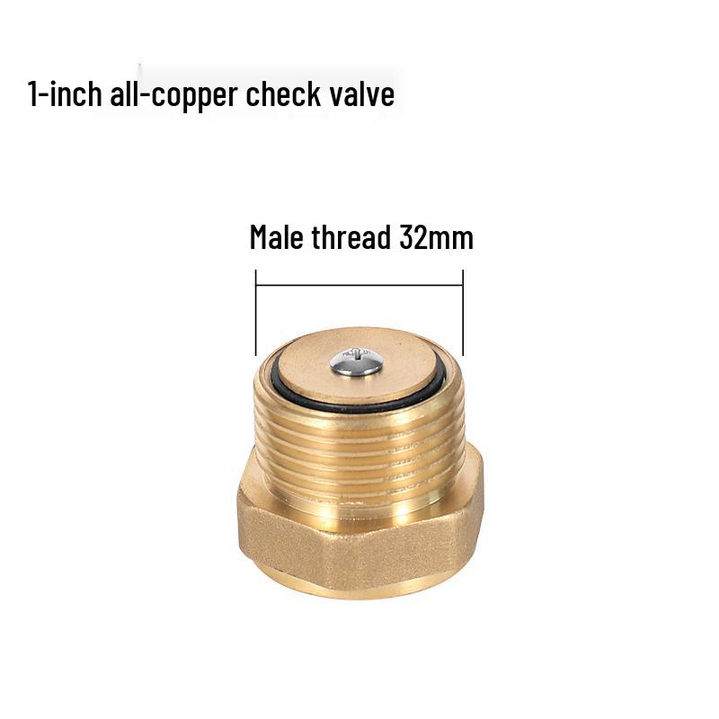 Adjustable Pressure Oil & Water Pump with Switch & Check Valve, Self-Priming Household Accessory