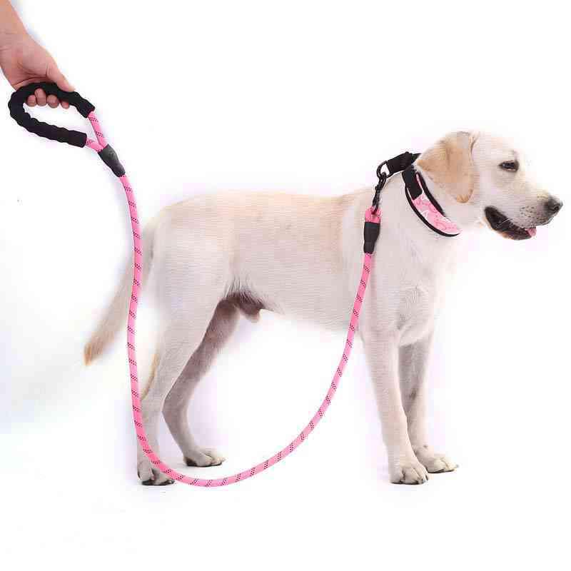 pull strap dog
