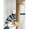Sphynx Devon Cat Hairless Short Sleeve Two-legged Clothes Slim Fit Pet Clothing