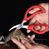 Garnelenschneider aus Edelstahl für die Küche, Garnelen-Linienabisolierwerkzeug, Haushaltsschere für Meeresfrüchte, Hummer, Fisch, Garnelenschäler