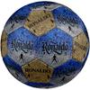 Ronaldo's Golden Ronaldo Celebration Soccer Ball Size 5 Football Machine-Stitched Indoor/Outdoor Training and Matches Sports Enthusiast Gifts