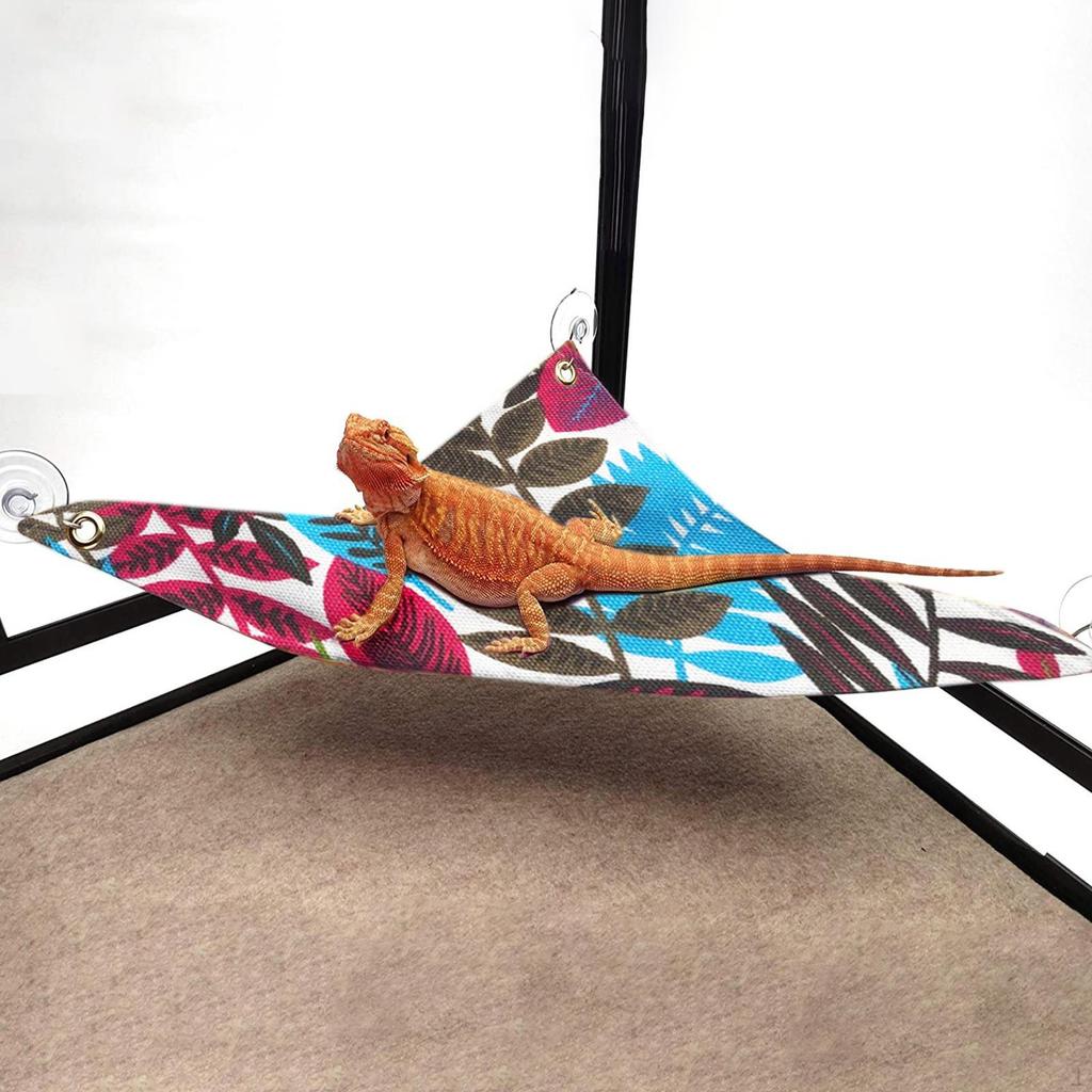 Bearded Dragon Hammock Reptile Lounger Ladder Terrarium Habitat Decoration