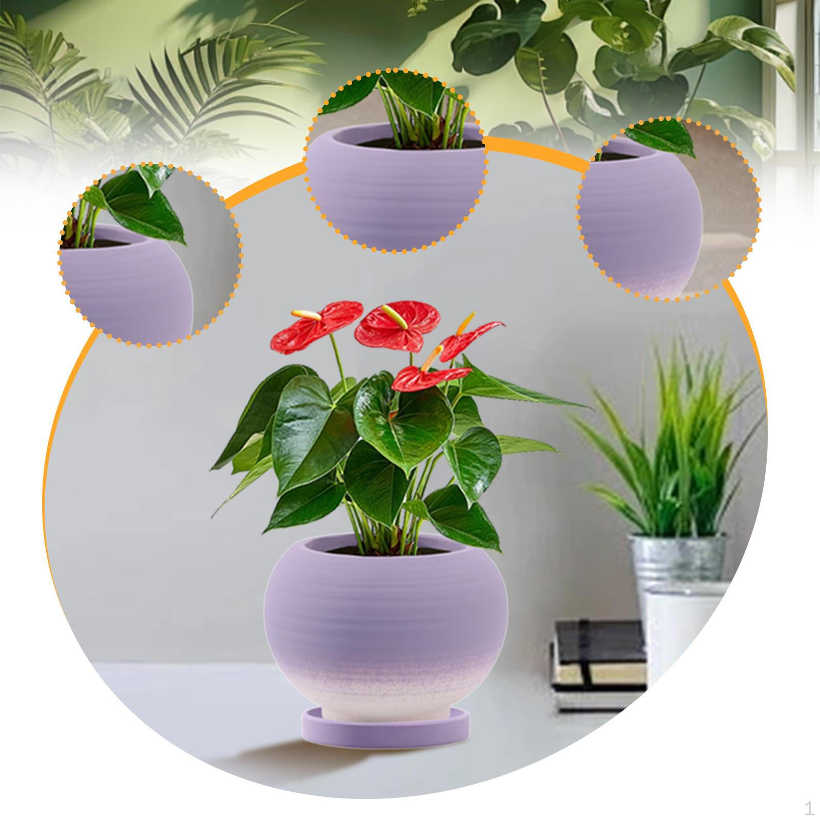 

Керамический цветочный горшок с дренажным отверстием и поддоном, подходит для комнатных и уличных растений Gradient Violet