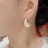 Light Luxury Gold Wire Mesh Crystal Water Drop Earrings Earrings Femininity Personality Versatile Ear Buckle Design Circle Earrings