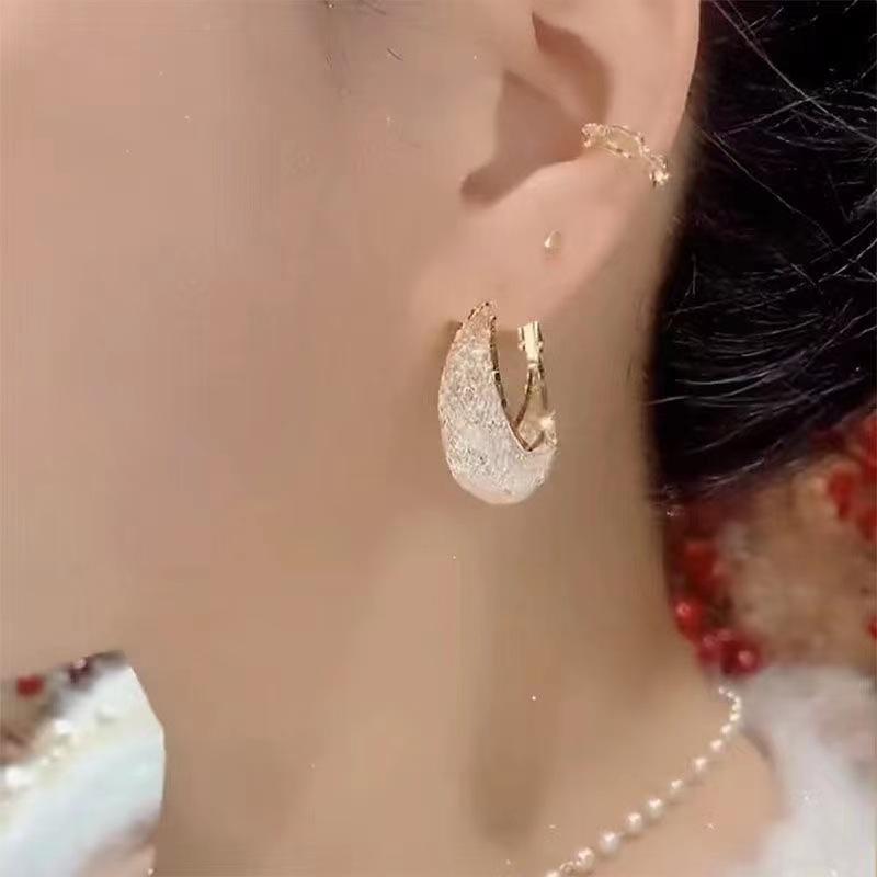 Light Luxury Gold Wire Mesh Crystal Water Drop Earrings Earrings Femininity Personality Versatile Ear Buckle Design Circle Earrings
