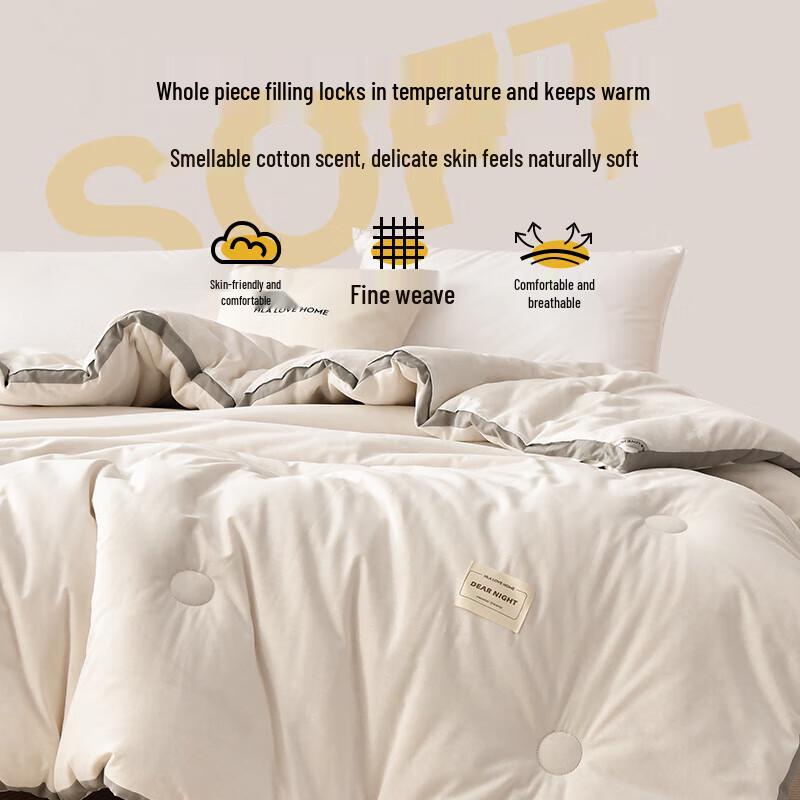 HAYLAN HOME Long-Staple Cotton Spring/Autumn Quilt