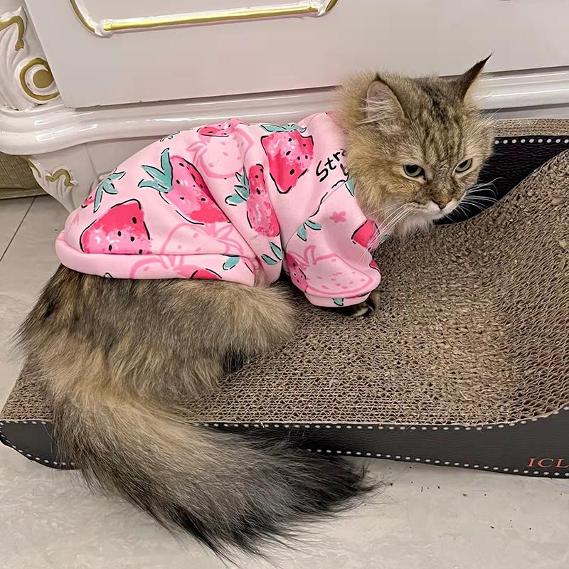 Spring Autumn Cat Clothes for Small Cats Kedi Katten Sphynx Pullovers Soft Fleece Puppy Dog Pet Hoodie Mascotas Clothing Outift
