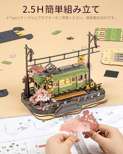 Rolife Hölzernes 3D-Puzzle, Kirschblütenreise, Anfänger-Bausatz, DIY-Bastelset, Kirschblütenzug-Modell, Japanischer Stil Innenraumdekoration, LED Li